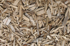biomass boilers Higher Pertwood
